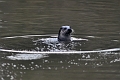 04 01 17_5289_edited-1